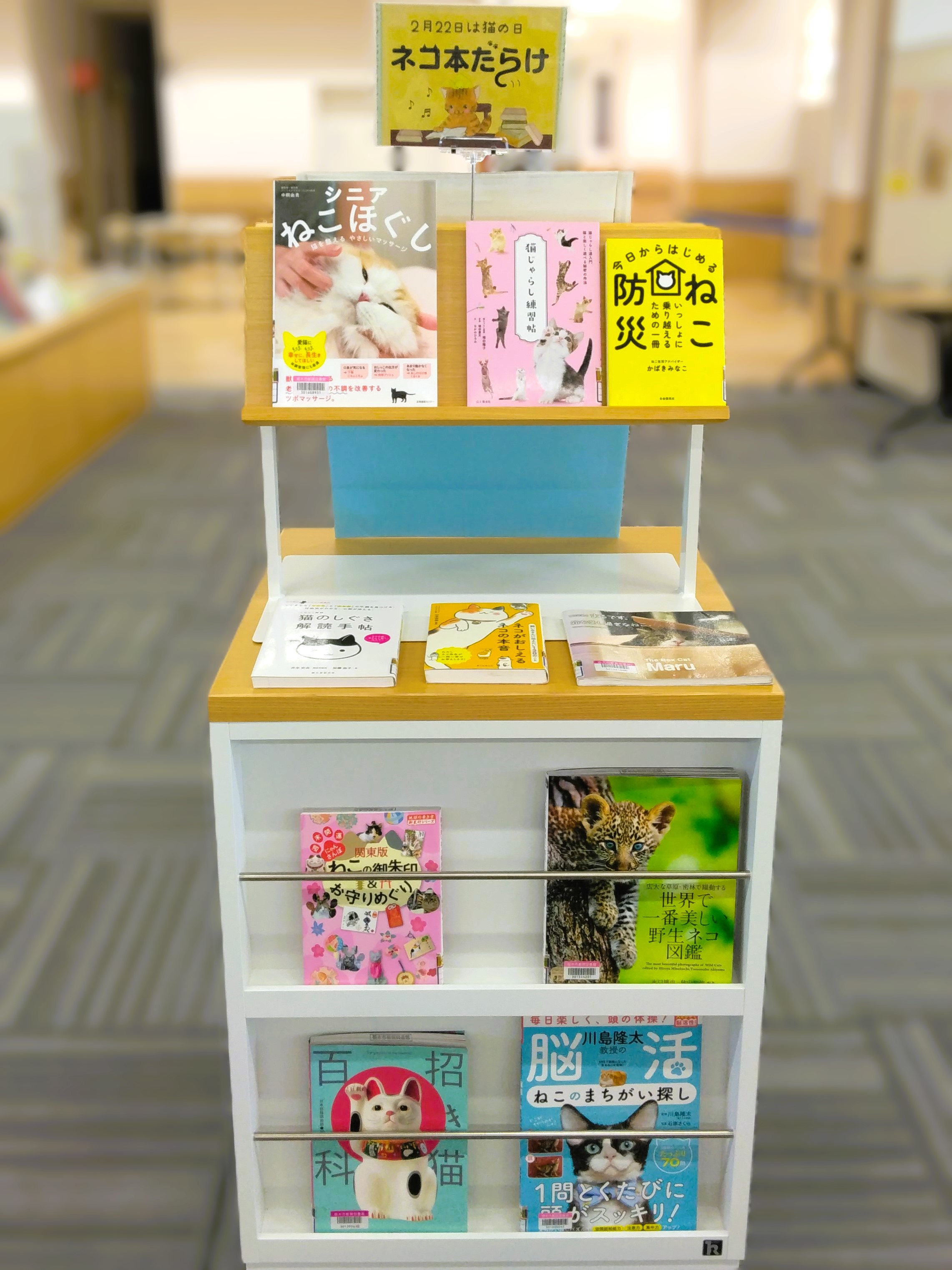「ネコ本だらけ」展示の様子
