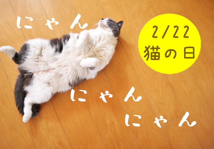 2月スタッフおすすめポスター本文 2月スタッフおすすめポスター本文