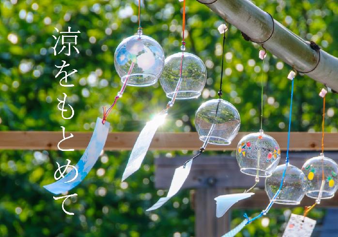8月スタッフおすすめ展示ポスター本文